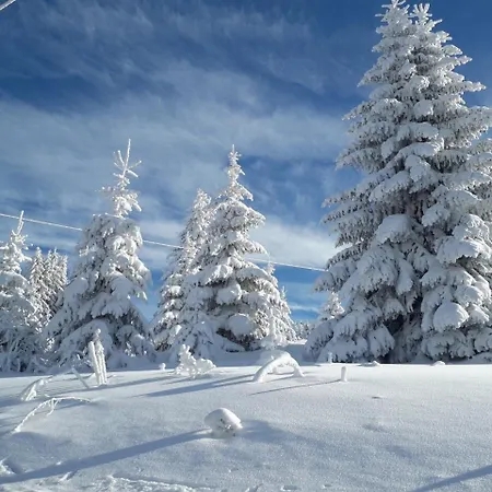 D52 Dvori Διαμέρισμα Κοπαόνικ