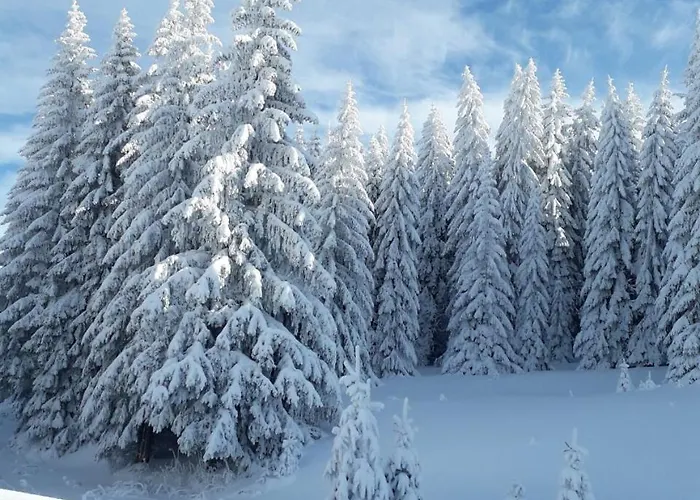 D52 Dvori * Κοπαόνικ